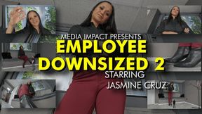 Employee Reduction 2