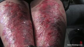 Bonus Update: Part 2 of the Nov Live Feed