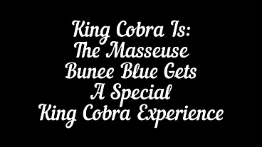 King Cobra Is The Masseuse: Bunee Blue Gets A King Cobra Massage