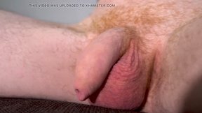 Huge flaccid cock with foreskin and balls - male nudist close-up