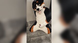 Fertility Check! Fellow Mutt @AngryBarks Jacks his Strong Sack of babymakers and puts his Jizm under a Microscope