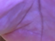 New Bad Dragon Austin XL Knot