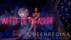 Wheel of pleasure  Part 10