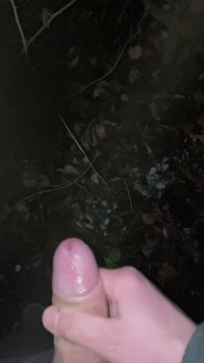 Outdoor Cumshot