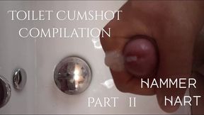 toilet cumshot compilation no.2 by hammer hart
