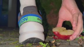 Salomon Speed Cross 6 Spike Cross crush Apple at Night