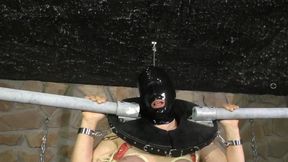 The Next Return Of Tit Slave Eva - splitter 01 (mp4)