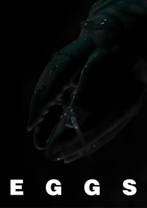 EGGS - teaser
