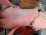 Fursuit Twink Bound and Fucked