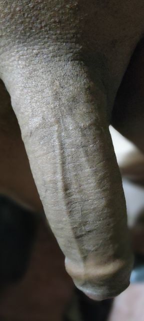 Do you like my big black penis? Do you want to caress it, jerk me off?