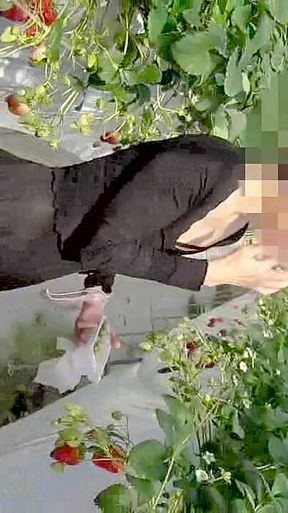 Mayu No.45: Strawberry Picking Exposure, Immediate Oral, Swallowing Specialization