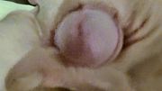jerking off in my hotel bed