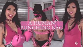 Human Punching Bag