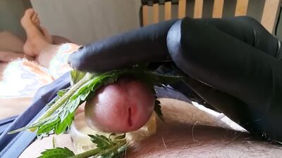 Cock Dick and balls massaged, kneaded and burned with stinging nettle leaves