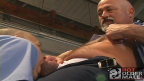 Mature Automotive: Under Inspection