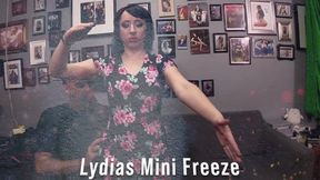Lydias Mini Freeze 12