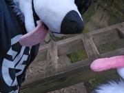 Family Hike 🔥 Cute Boy @AngryBarks Makes His Older Step Brother Cum Hard On Public Trail💦