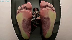 Wrinkles stomps tinies flat! - MOV