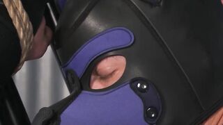 CALLUM COLBEYS PUP PLAY P.Arty  Watch Him Tame His Pup Badge!