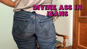 Perfect Fit — Denim That Deserves Your Attention