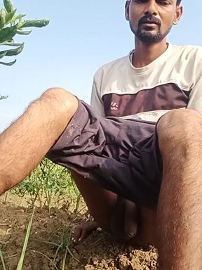 Hit the mouth in the chilli field