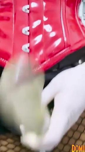 2 Asian Dominatrix Pegging Slave