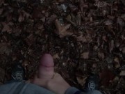 Quick wank in the forrest