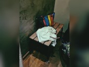 Mr et Mme B- mymfans/mr_et_mme_b - Petite session cabine d'essayage à 5 secondes près d'être vu