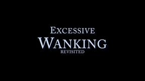 Excessive Wanking Revisited