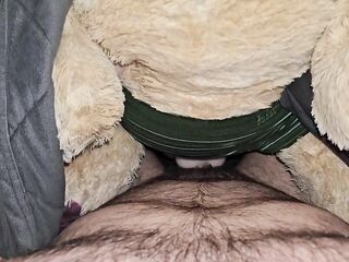Teddy ride