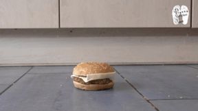 Burgers under CAT Sneakers floor view