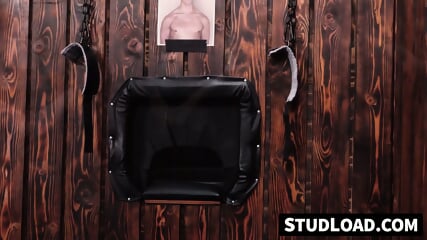 Sean Xavier And Hung Stallions Breed Three Bottoms  The Breeding Wall