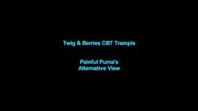 Painful Puma's Alternative View