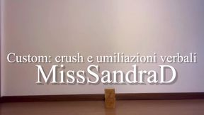 Custom crush e umiliazioni verbali