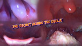 the secret behind Ruby's uvula