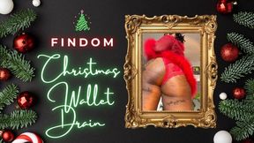 Findom Christmas Wishlist Drain