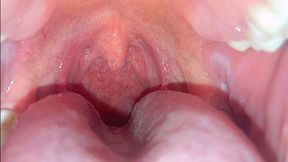 Wet Mouth Close-Up – Uvula View