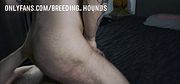 Bearded daddy rimming his bestfriend's furry hole.