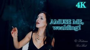 * Amuse Me, weakling! *  4K