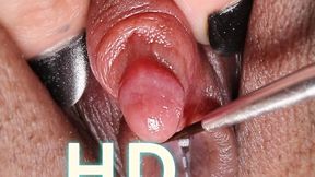 HD Clit 4
