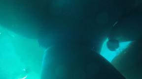 ”Beautiful Alix Lynx masturbates in her erotic lingerie”