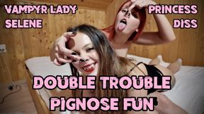 Double Trouble Pignose Fun