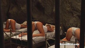 Curvy lesbians serve their busty mistress in a hardcore doggystyle.