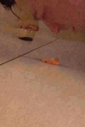 Feeding lesson in the kitchen