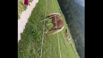 Dancing next to some beautiful horses outdoors ??What'_s your favorite way to connect with nature?#Dancing #Outd...