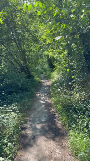 Walk in the forest.