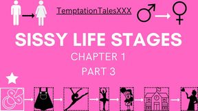 Sissy Cuckold Husband Life Stages Chapter 1 Part 3 (Audio Erotica)