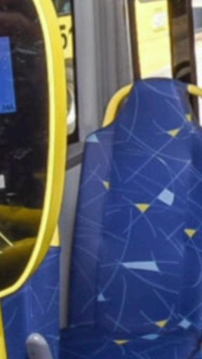 University Student Notices Passenger's Erection on the Bus and Was Left Speechless