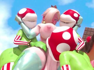 THE SECRET OF THE PRINCESS FROM SUPER MARIO BROS