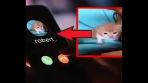 Puto Roberto